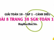 Giải bài 8 trang 38 Toán 10 tập 1 SGK Cánh Diều